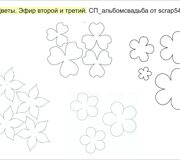 цветы шаблон