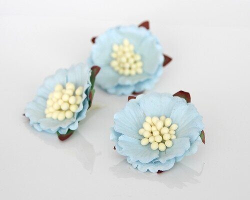 КИТАЙСКИЕ ПИОНЫ 2 - ГОЛУБЫЕ, диаметр ок. 6 см